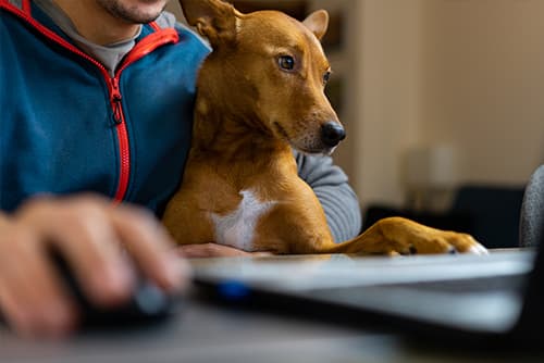 person working on laptop