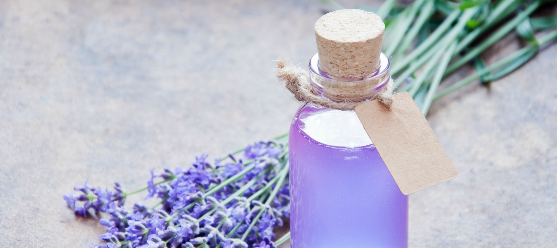 Lavender vanilla for calm dog during bath