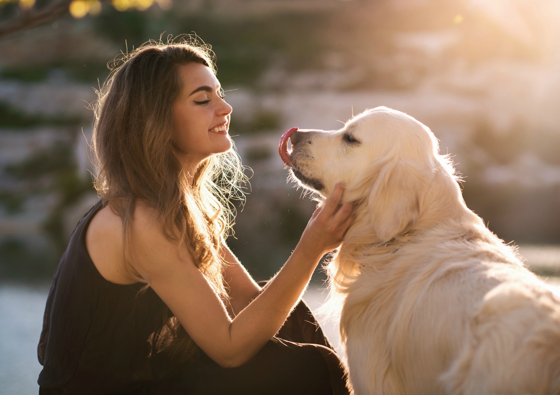 How often should your dog go to the dog groomer?