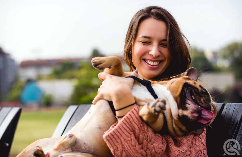 Flexible career in dog grooming