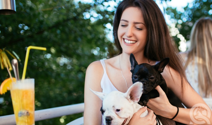 Dog cafe in Vancouver