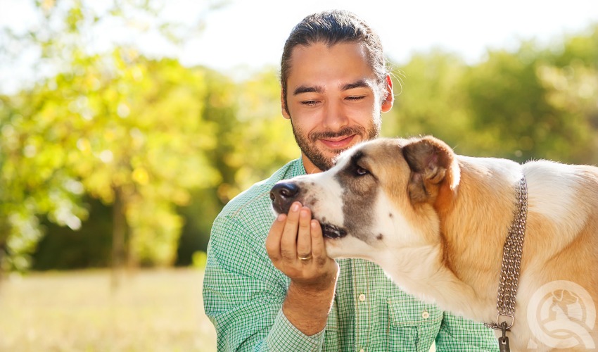 man playing with a dog outside