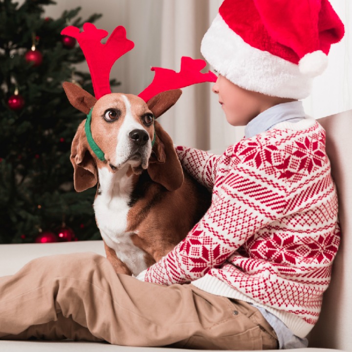 boy keeping dog safe at Christmas