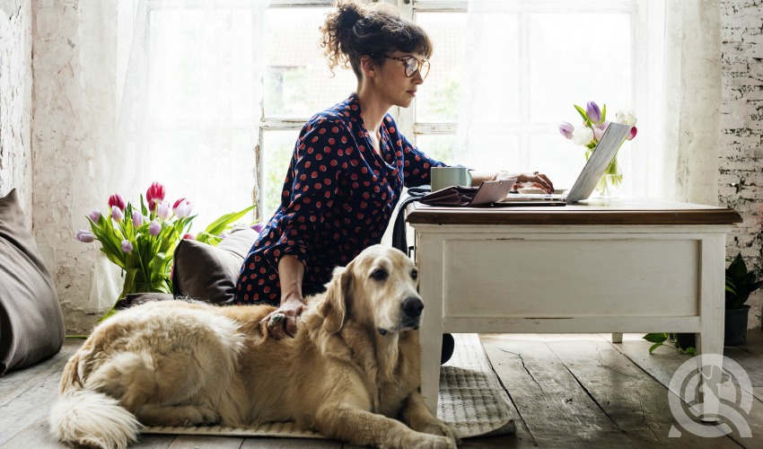 Woman on laptop at home with golden lab lying next to her on the floor