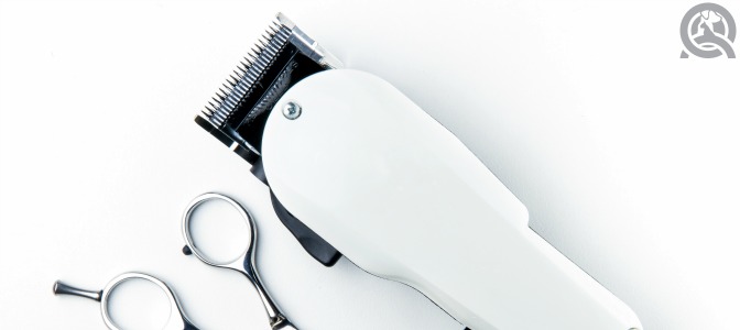 What clipper blade length is best for doing sanitary shaves?