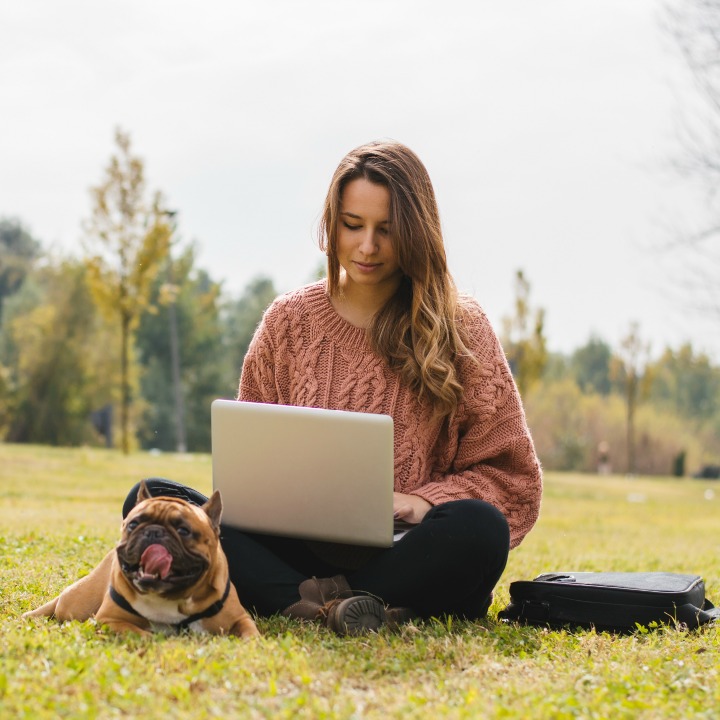 Discover the benefits of learning dog grooming online