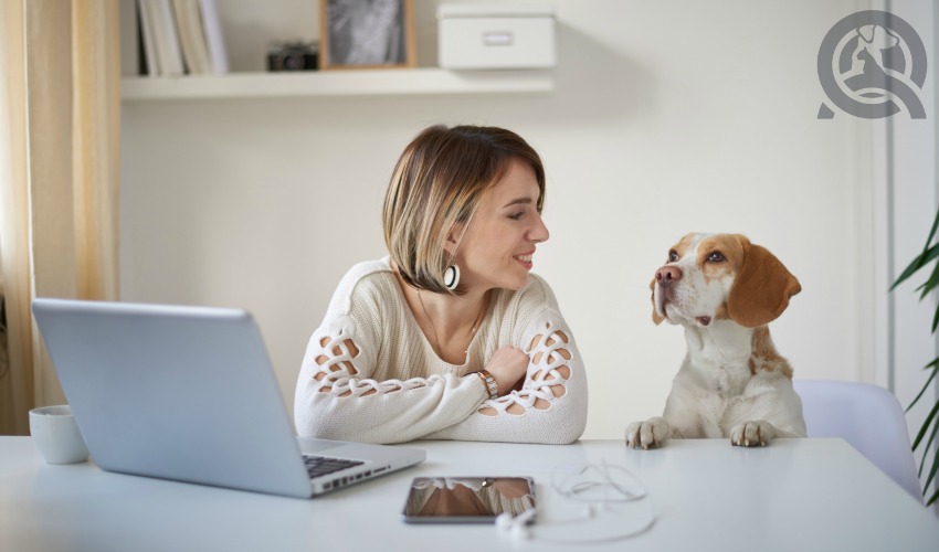 girl and dog at computer