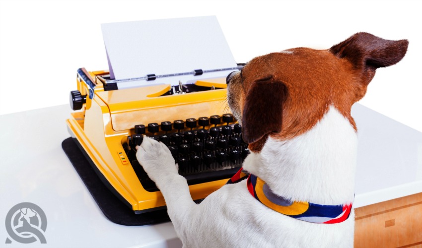 dog typing