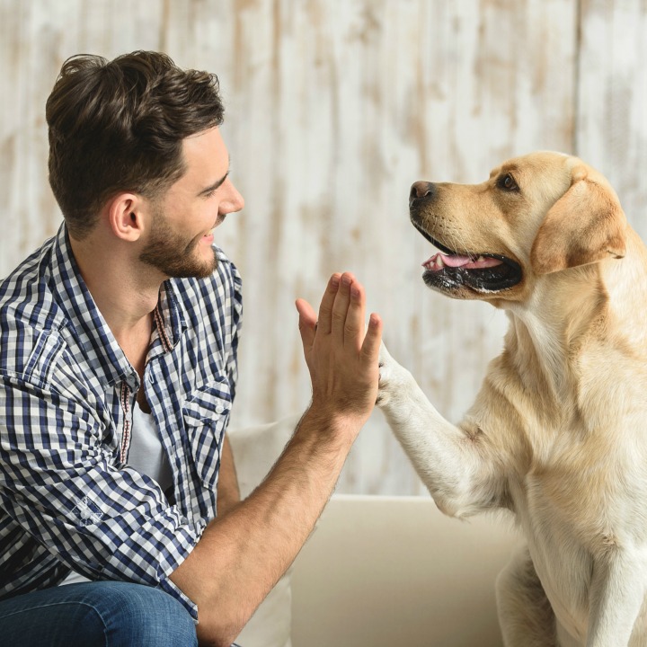 perfecting your professional grooming resume