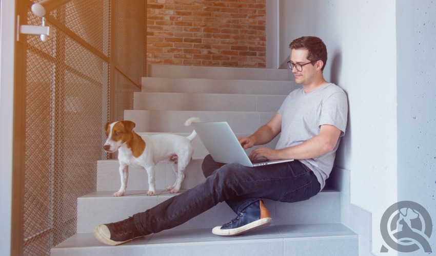 dog owner and young professional on laptop