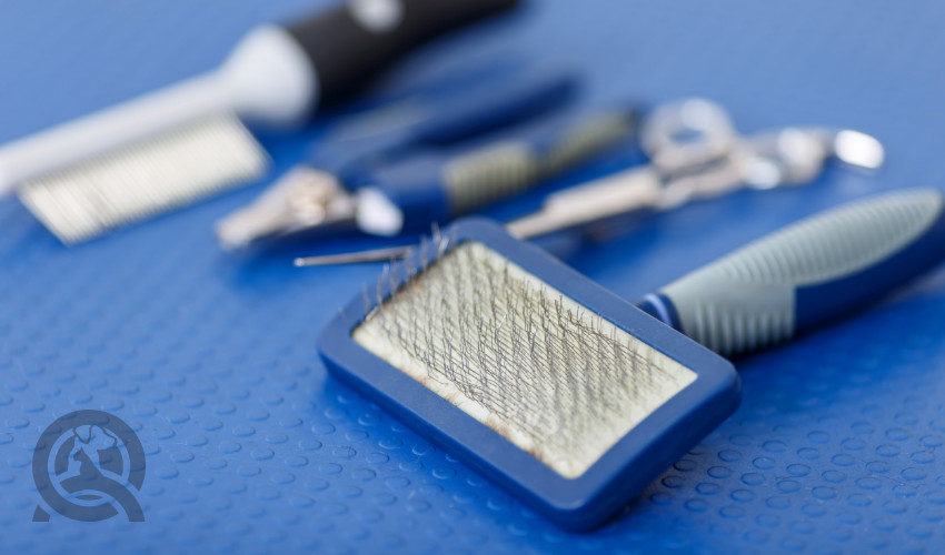 Learning About Your Dog Grooming Kit: Brushes, Combs, and Dematting Tools