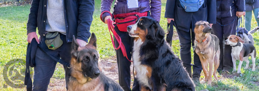 And finally… if you were in the middle of a busy day, and a client came early and demanded you groom their dog in an hour, how would you react?