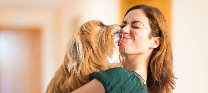 Do you love interacting with other dogs and their owners?