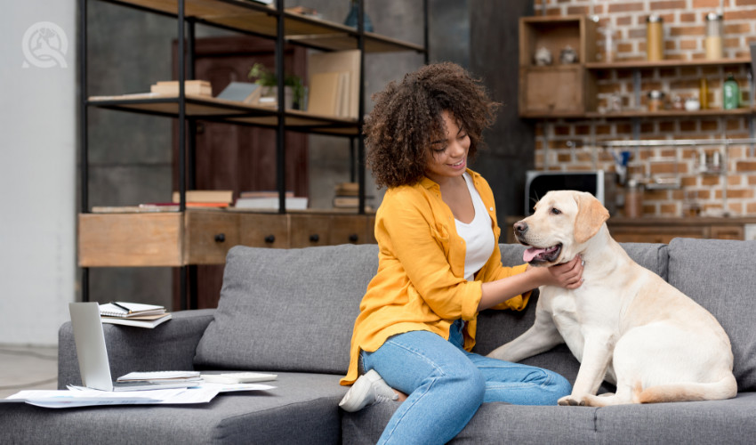 dog owner with lab at home on couch