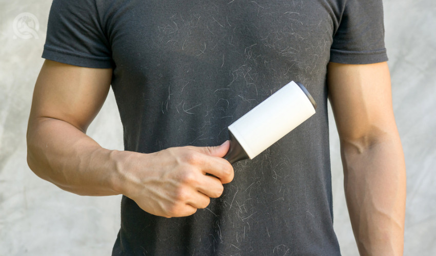 lint roller to remove dog hair dog grooming tips