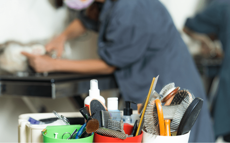 pet groomer in background with grooming tools in foreground