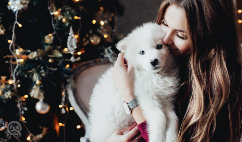 woman cuddling puppy