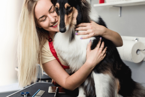 female groomer hugging scared collie