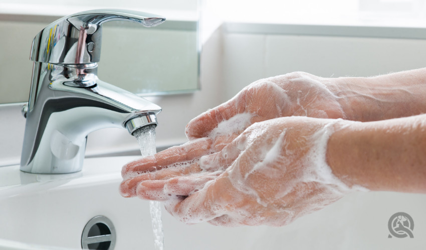 Hygiene concept. Washing hands with soap under the faucet with water