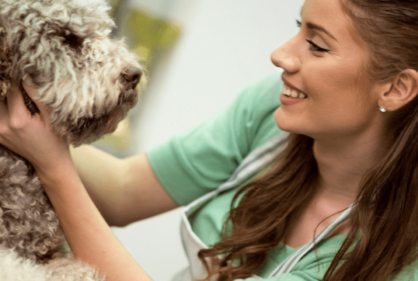 professional groomer increasing her dog groomer salary through excellent customer service