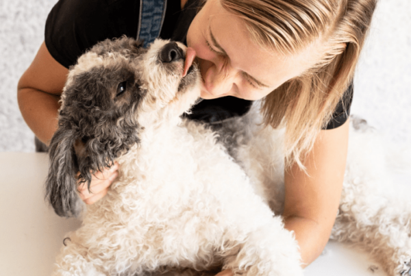 dog groomer cuddling with dog