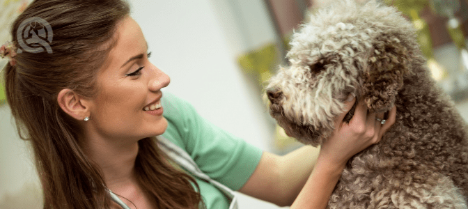 Groomers are most likely to encounter which type of aggression from their clients' dogs?