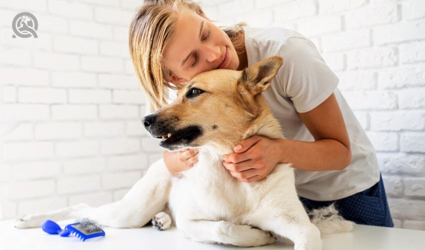 Groomer hugging dog