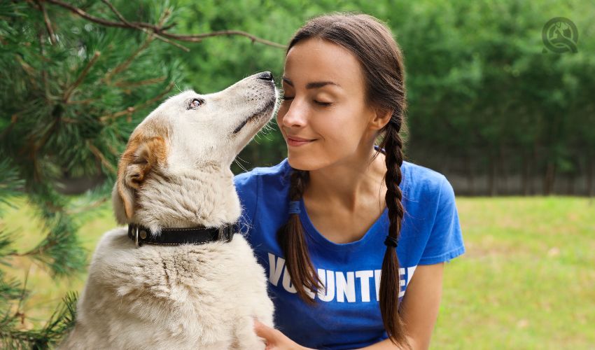 Volunteer getting kiss from dog at animal shelter