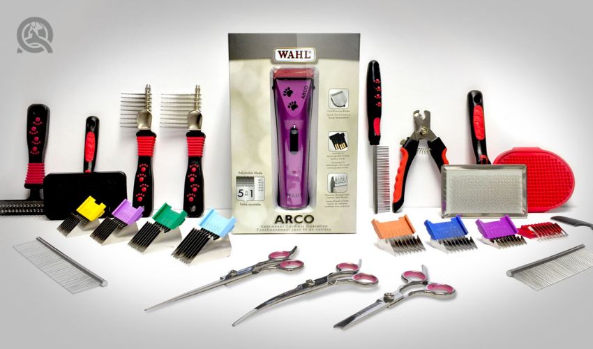 The best dog grooming tools, QC Pet Studies starter groomer kit