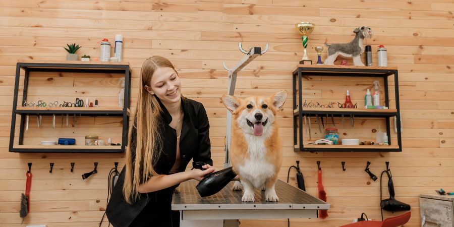 Choosing the right dog groomer in-post image 1