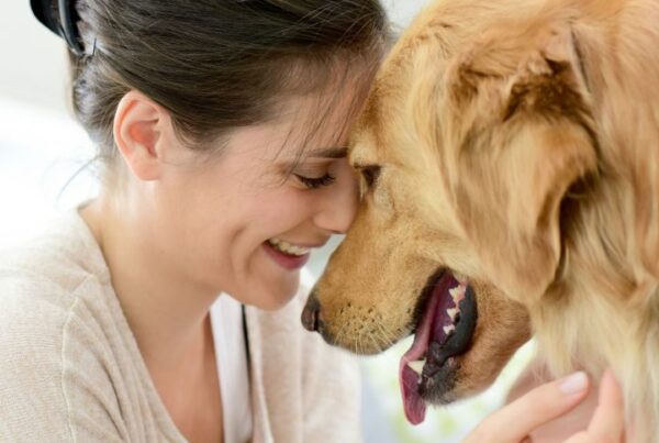 Skills you need to become a dog trainer Feature Image